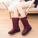 Women boots winter shoes woman mid-calf snow boots plush botas mujer waterproof warm winter women shoes female booties WSH3141