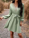 Long Sleeve Tie Waist V-Neck Mini Dress