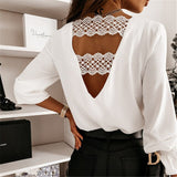 Sexy Lace Women's V neck Long Sleeve Blouse